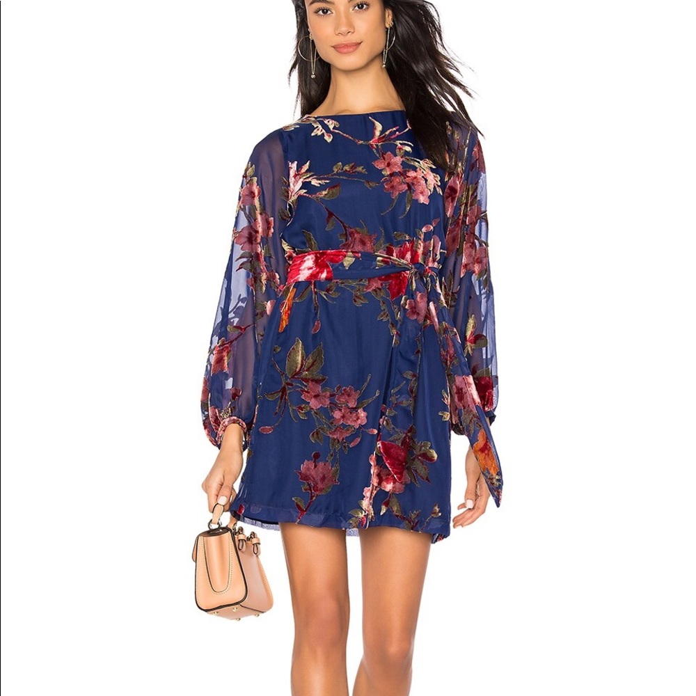 NWT Yumi Kim Bellflower Dress in Serenade Velvet Burnout